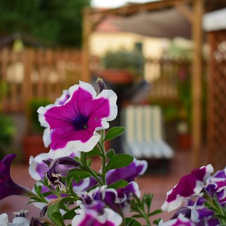 Domus Socolatae Apartments&Suites Фоллоника Экстерьер фото